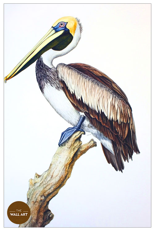 images/products/pelican_on_branch/pelican_on branch_WHITE_P.jpg